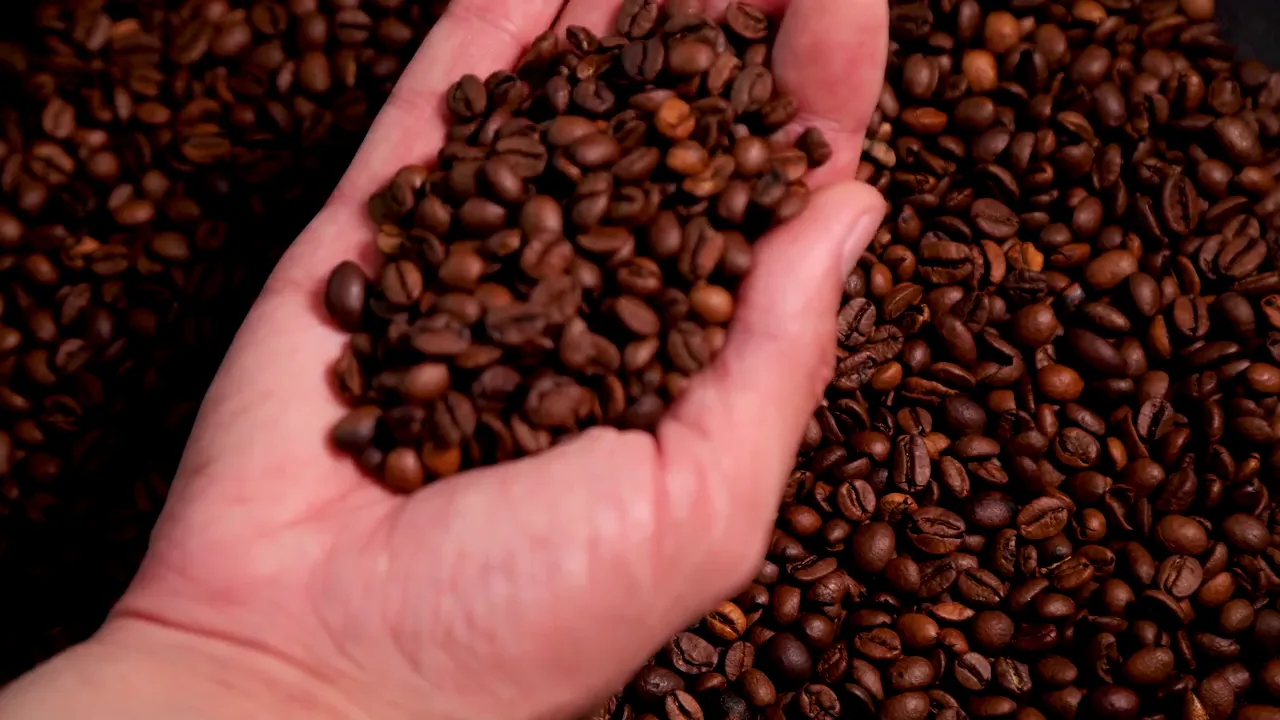 Granos de café tostado con textura y luz cálida